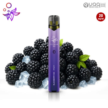 Elfbar 800 Blackberry Ice 20mg/ml mit Turbo Mode